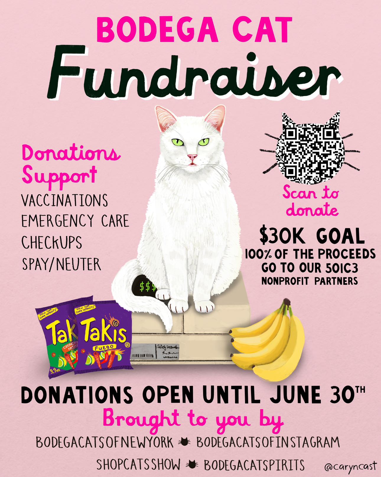Bodega Cat Fundraiser - Complete!